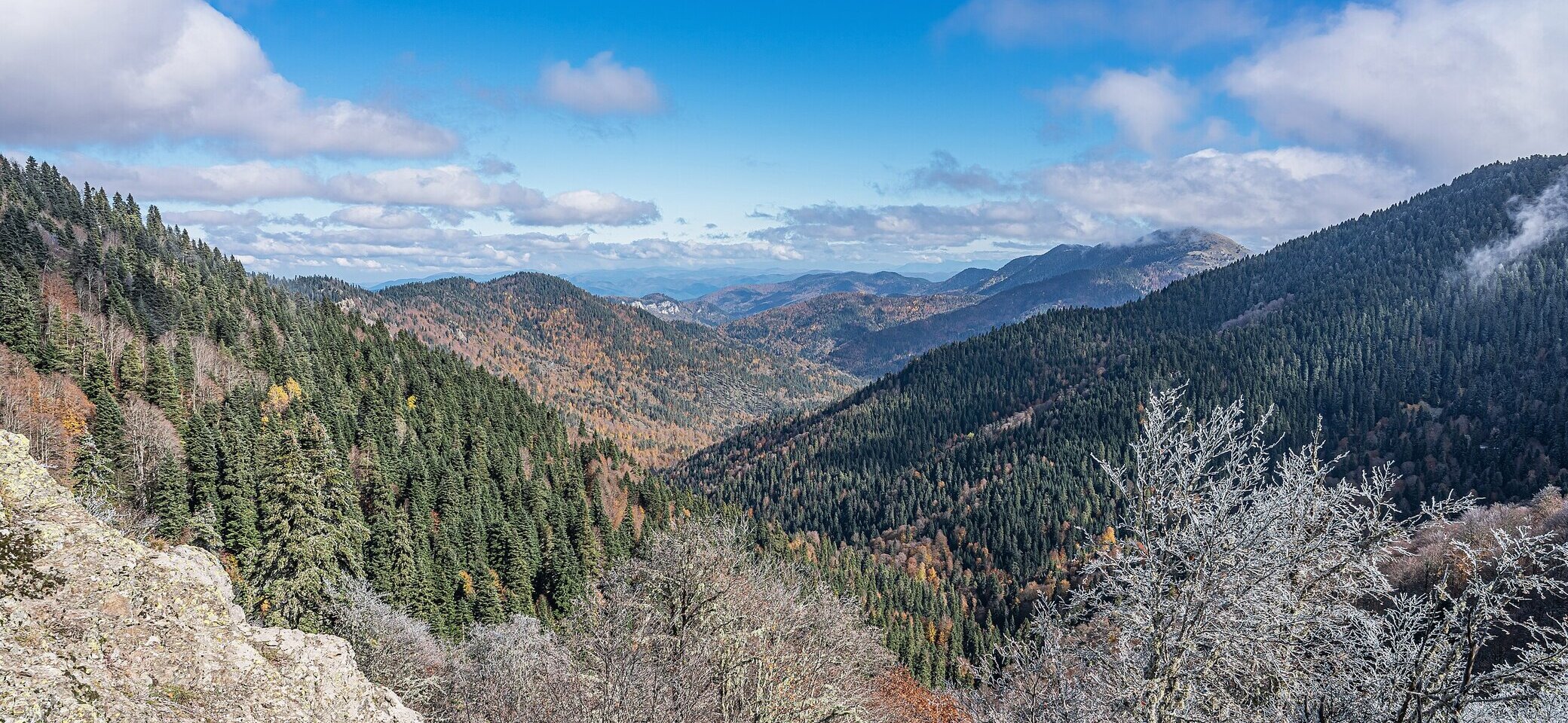 Autumn in Yedigöller National Park, Turkey | © A.Savin, CC0, Wikimedia Commons